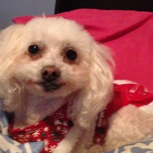 Meet your Posher, Tina